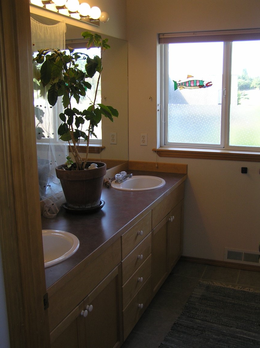 House Pic 2